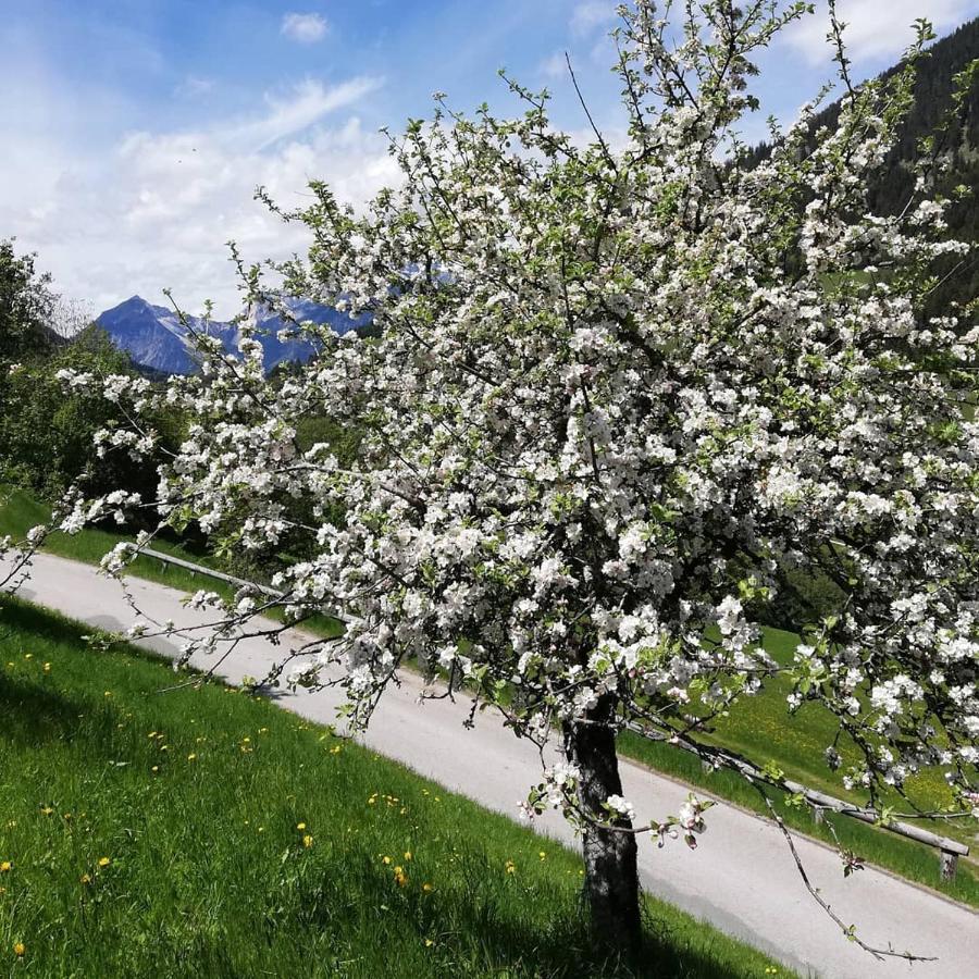 Appartements Kolberhof Alpbach Dış mekan fotoğraf