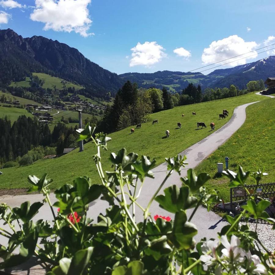 Appartements Kolberhof Alpbach Dış mekan fotoğraf