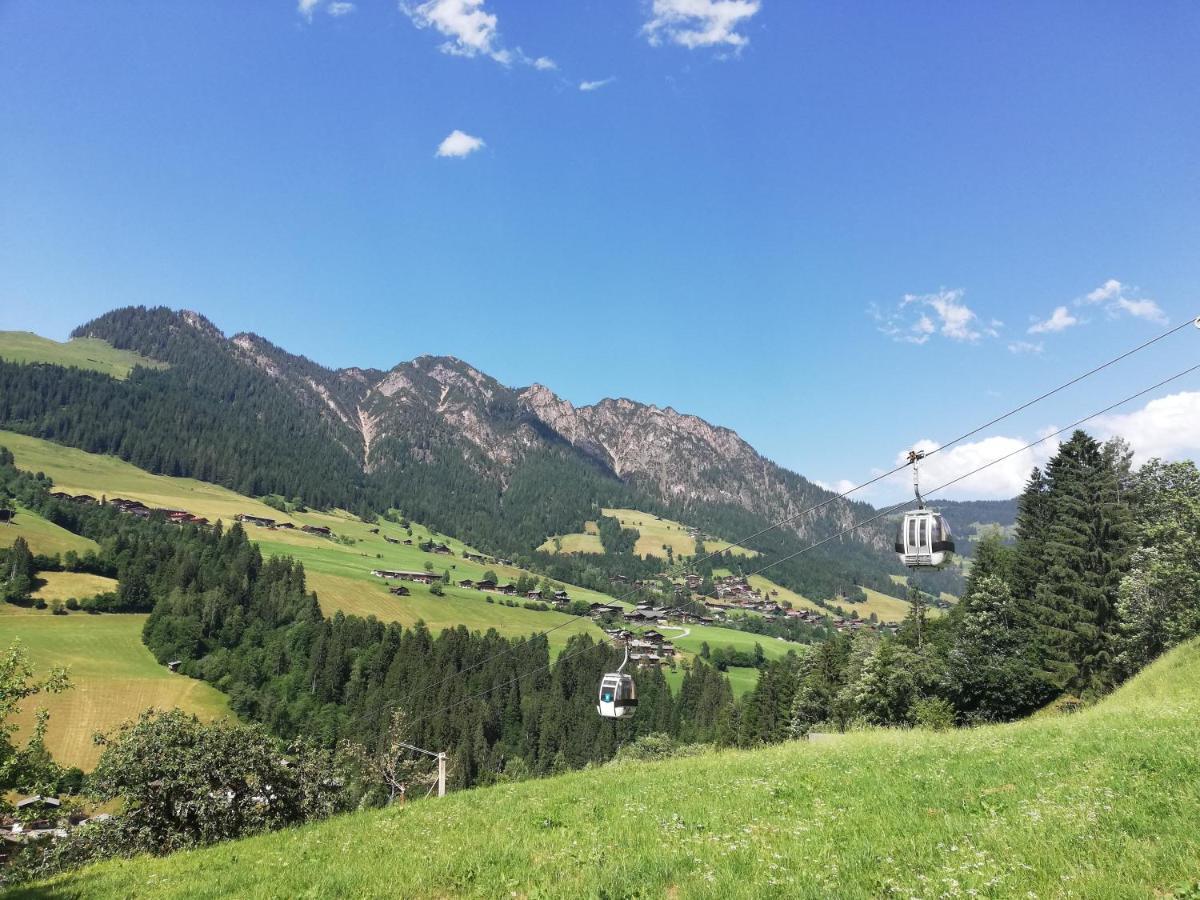 Appartements Kolberhof Alpbach Dış mekan fotoğraf