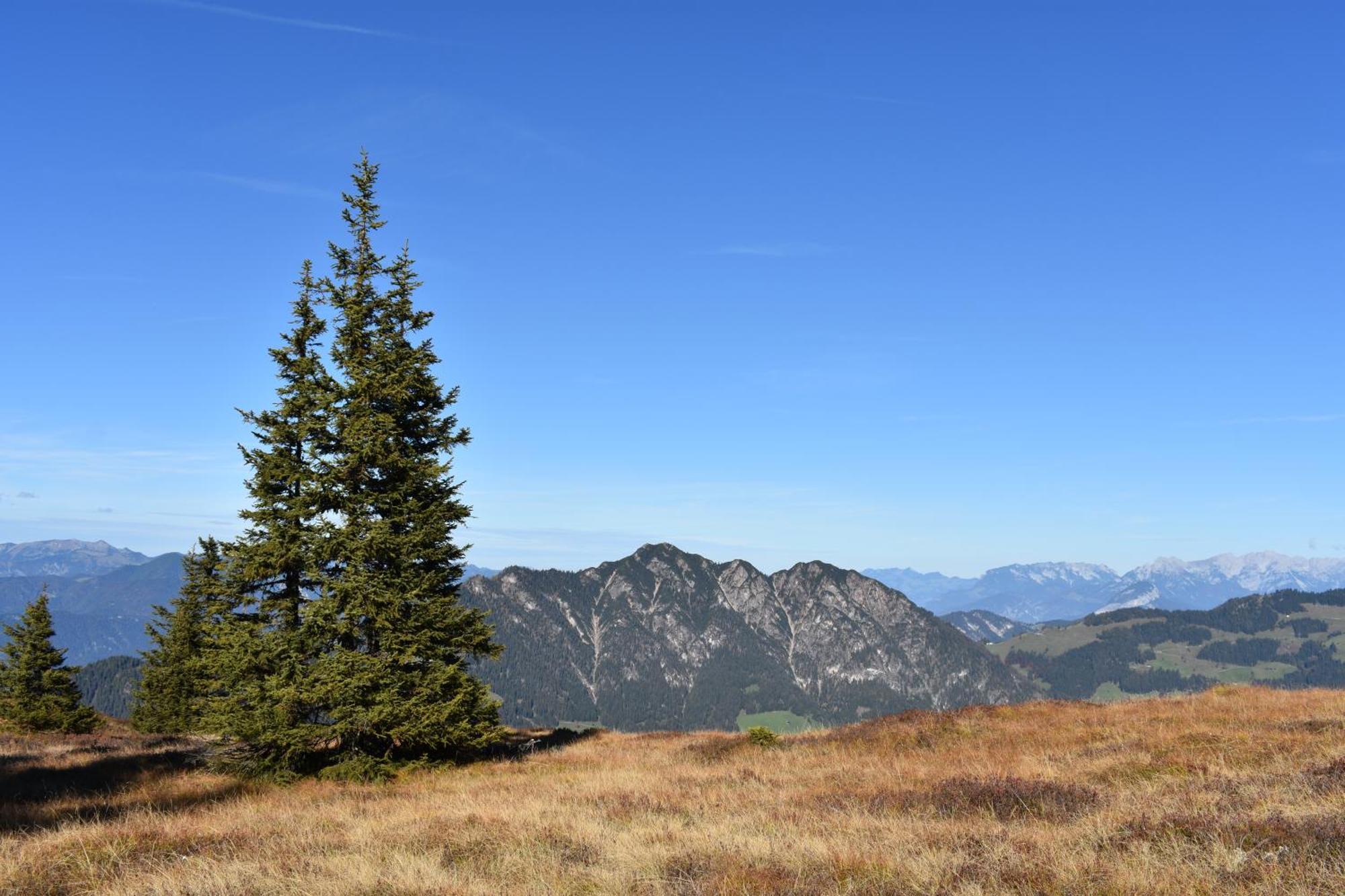 Appartements Kolberhof Alpbach Dış mekan fotoğraf