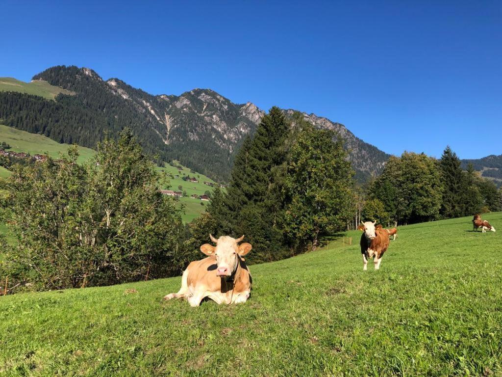 Appartements Kolberhof Alpbach Dış mekan fotoğraf