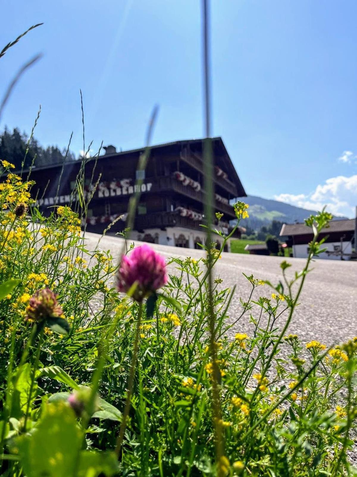 Appartements Kolberhof Alpbach Dış mekan fotoğraf